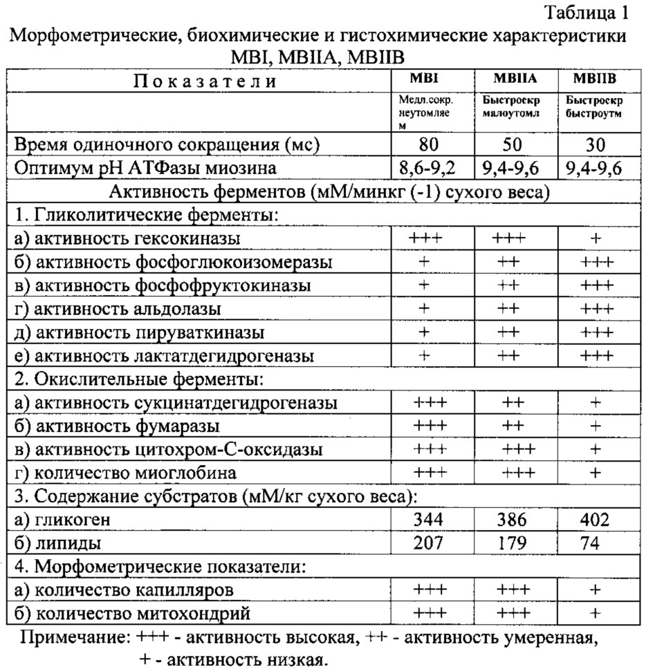 Способ оценки типов мышечных волокон (патент 2628810)