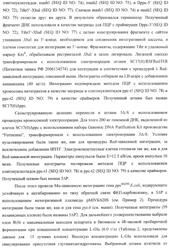 Бактерия, принадлежащая к роду pantoea, - продуцент l-аспартата или метаболита, являющегося производным l-аспартата, и способ получения l-аспартата или метаболита, являющегося производным l-аспартата (патент 2411289)
