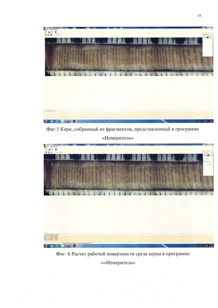 Способ определения смоляных ходов древесины (патент 2604922)