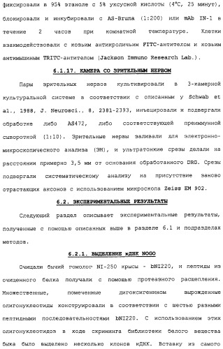 Поликлональное антитело против nogo, фармацевтическая композиция и применение антитела для изготовления лекарственного средства (патент 2432364)