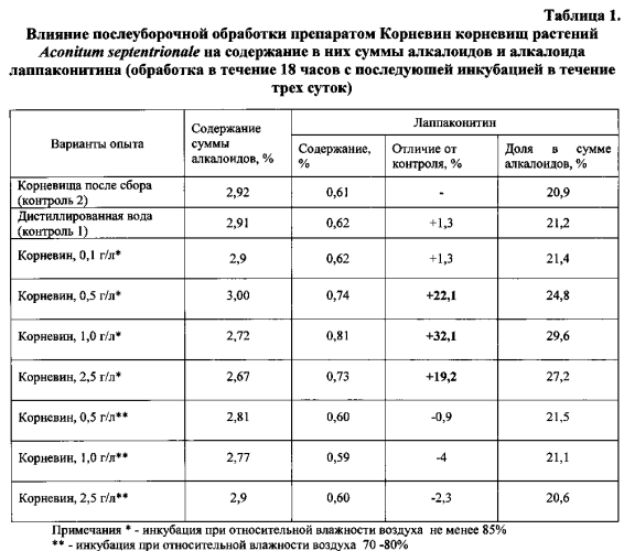 Способ повышения содержания алкалоида лаппаконитина в заготовленных корневищах aconitum septentrionale koelle (патент 2569359)