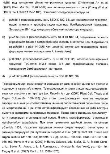 Способ повышения стойкости к стрессовым факторам в растениях (патент 2375452)