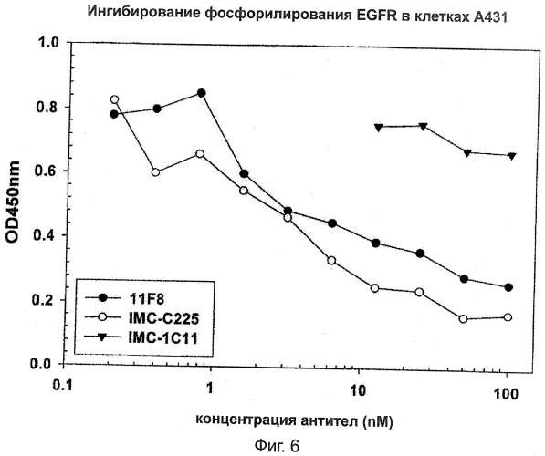 Человеческие антитела к рецептору эпидермального фактора роста (патент 2402569)