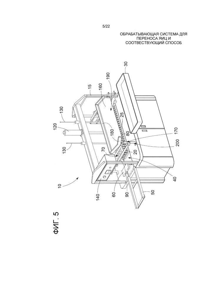 Обрабатывающая система для переноса яиц и соответствующий способ (патент 2622669)