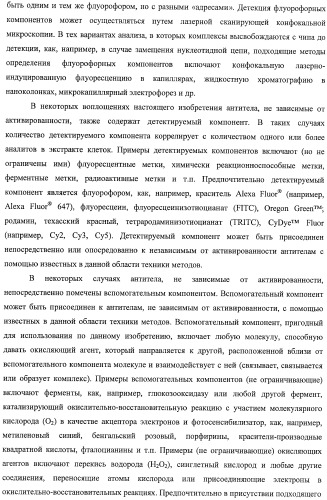 Чипы на основе антител для определения множественных трансдукторов сигналов в редких циркулирующих клетках (патент 2442171)