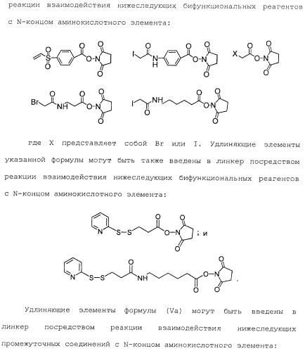 Антитела, сконструированные на основе цистеинов, и их конъюгаты (патент 2412947)