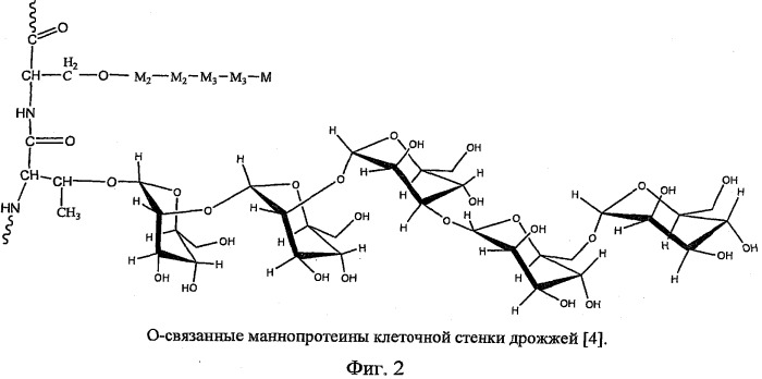 Способ получения водорастворимых фракций маннопротеинов и β-глюкана (патент 2504384)