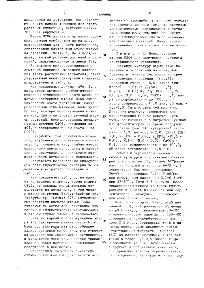Штамм клубеньковых бактерий вrаdyrнizовiuм sp. (аsтrаgаlus) для производства бактериального удобрения под астрагал (патент 1699990)
