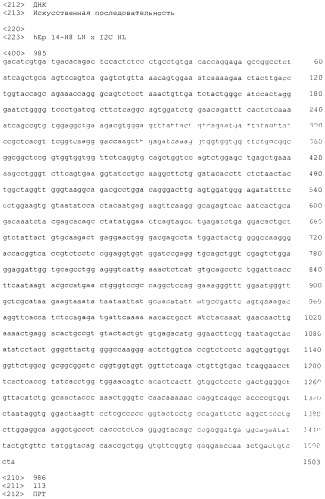 Pscaxcd3, cd19xcd3, c-metxcd3, эндосиалинxcd3, epcamxcd3, igf-1rxcd3 или fap-альфаxcd3 биспецифическое одноцепочечное антитело с межвидовой специфичностью (патент 2547600)