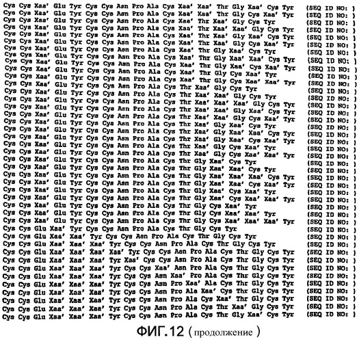 Полипептид для увеличения активности рецептора гуанилатциклазы, фармацевтическая композиция, способ лечения желудочно-кишечного расстройства у пациента, способ повышения активности рецептора гуанилатциклазы у пациента, способ лечения висцеральной боли, способ получения полипептида (варианты), изолированная молекула нуклеиновой кислоты, бактериальный вектор экспрессии и изолированная бактериальная клетка (патент 2433133)