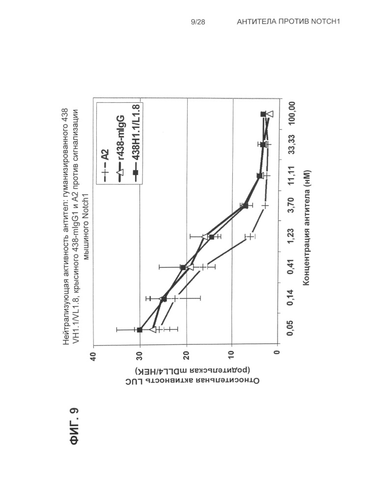 Антитела против notch1 (патент 2622083)