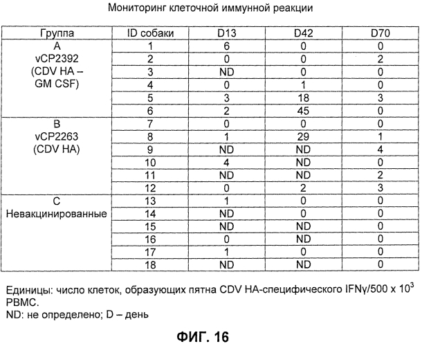 Композиции рекомбинантного cdv и ее применение (патент 2567337)