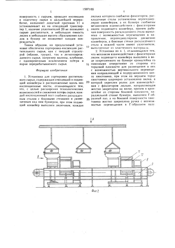 Установка для сортировки растительного сырья (патент 1597165)