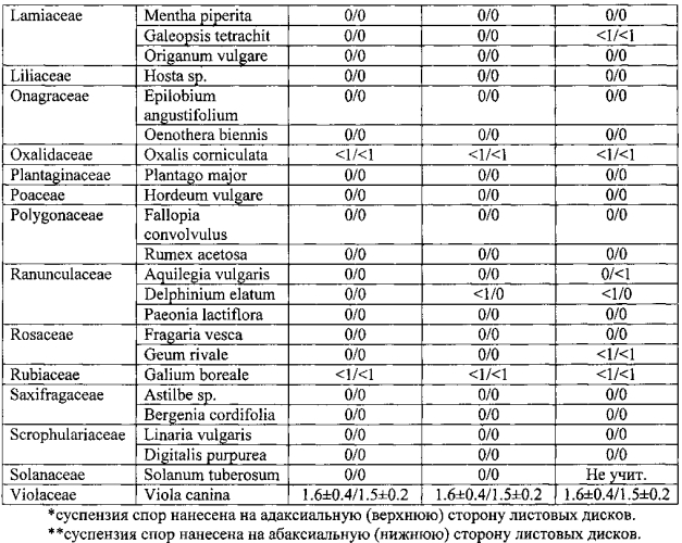 Штамм гриба phoma ligulicola var.inoxydabilis boerema, обладающий микогербицидной активностью против полыни обыкновенной (патент 2588470)