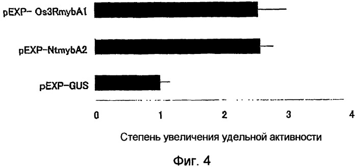 Растительные клетки и организмы растений с модифицированным клеточным ростом, развитием и дифференцировкой (патент 2349642)