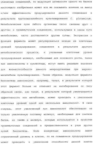 Гены corynebacterium glutamicum, кодирующие белки метаболических путей (патент 2306339)