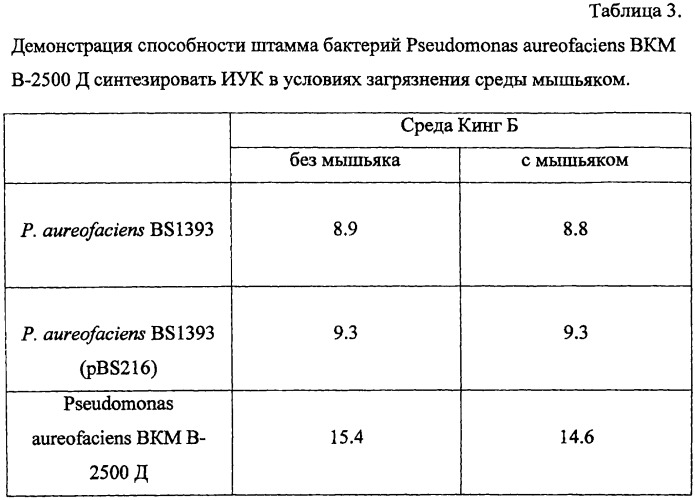 Способ получения растительно-микробных ассоциаций для фиторемедиации на основе микроразмножаемых растений и плазмидосодержащих ризосферных бактерий (патент 2443771)