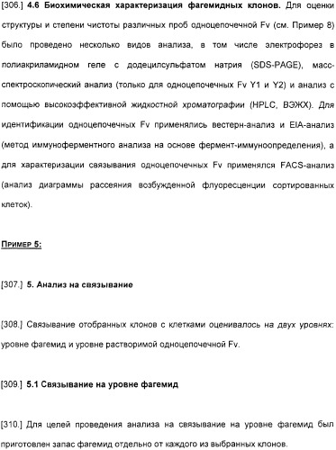 Специфические антитела человека для избирательной терапии рака (патент 2316564)
