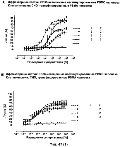 Psma×cd3 биспецифическое одноцепочечное антитело с межвидовой специфичностью (патент 2559531)