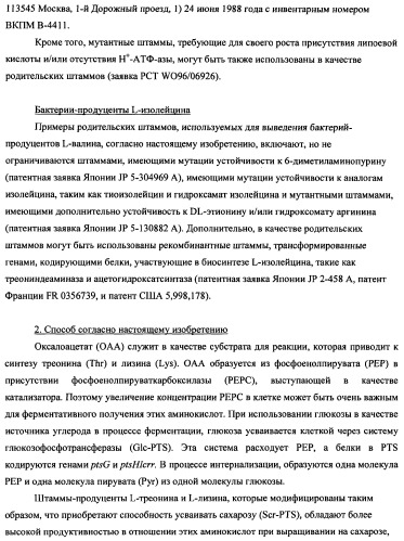 Способ получения l-треонина с использованием бактерии, принадлежащей к роду escherichia (патент 2338783)