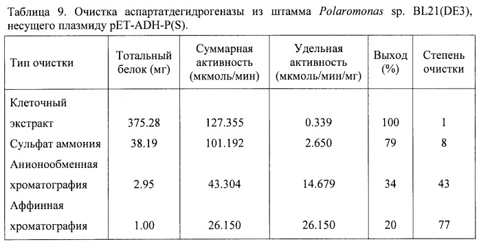 Бактерия семейства enterobacteriaceae - продуцент l-аспарагиновой кислоты или метаболитов, производных l-аспарагиновой кислоты, и способ получения l-аспарагиновой кислоты или метаблитов, производных l-аспарагиновой кислоты (патент 2472853)