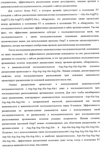 Способ расщепления полипептидов с использованием варианта протеазы оmpт (патент 2395582)