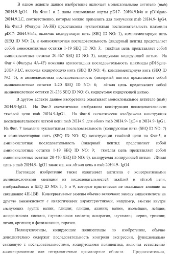 Человеческие антитела против человеческого 4-1вв (cd137) (патент 2376316)