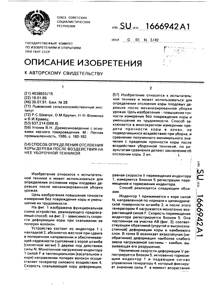 Способ определения отслоения коры дерева после воздействия на нее уборочной техникой (патент 1666942)