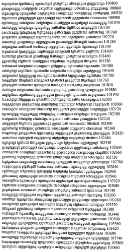 Модуляция экспрессии гентингтина (патент 2562861)