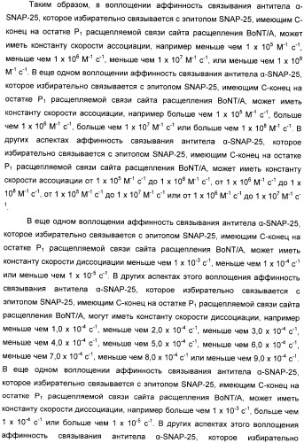 Иммунологические анализы активности ботулинического токсина серотипа а (патент 2491293)