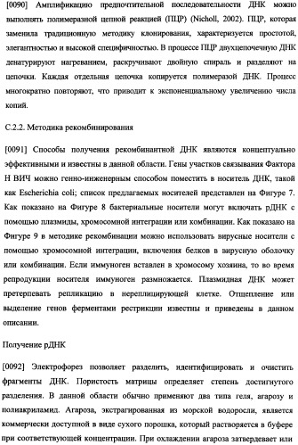 Иммуногенная композиция и способ разработки вакцины, основанной на участках связывания фактора н (патент 2364413)