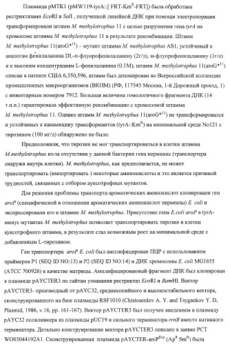 Способ придания бактерии, принадлежащей к роду methylophilus, ауксотрофности по l-аминокислоте, бактерия, принадлежащая к роду methylophilus, и способ продукции l-аминокислоты (патент 2395569)