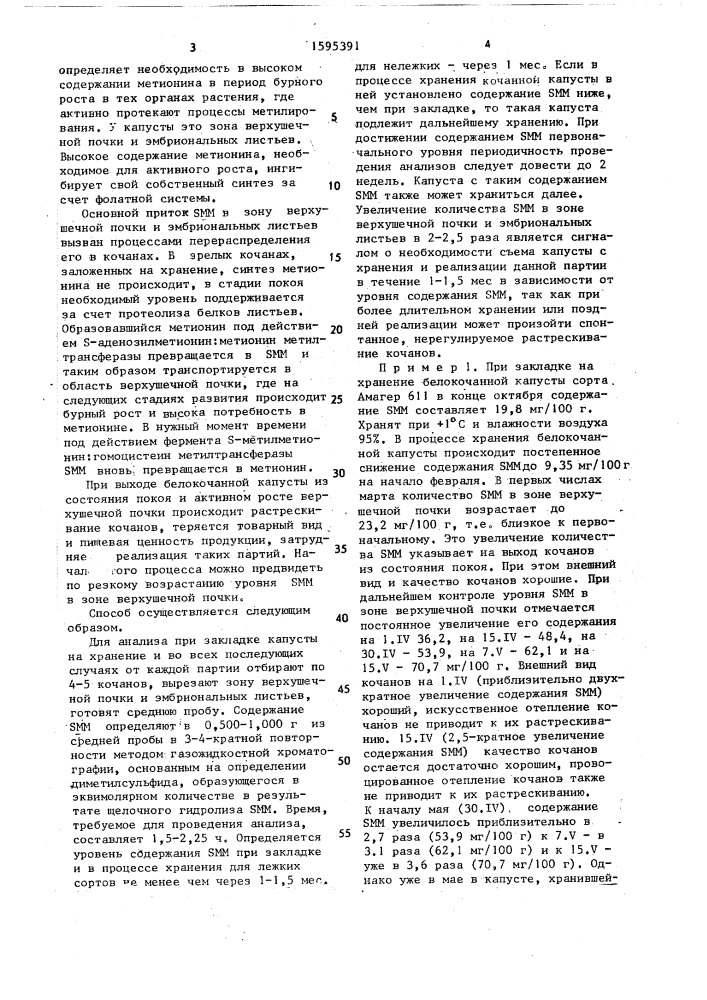 Способ определения срока снятия кочанной капусты с хранения (патент 1595391)