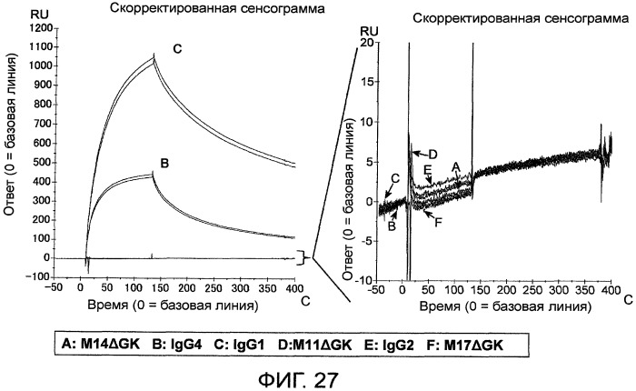 Способ модификации изоэлектрической точки антитела с помощью аминокислотных замен в cdr (патент 2510400)