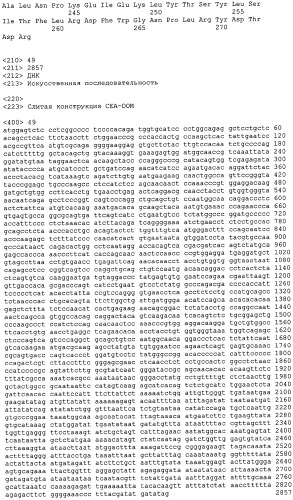 Слитые белки карциноэмбрионального антигена (патент 2380375)