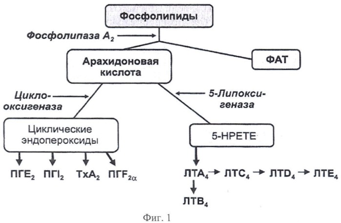 Способ лечения оперированного незакрывшегося макулярного отверстия (патент 2458656)