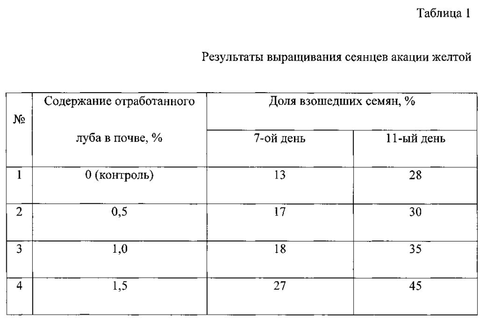 Способ переработки луба берёзовой коры (патент 2595332)