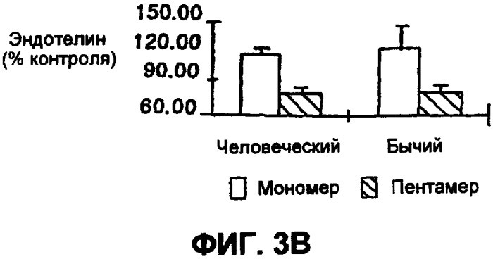 Композиции и способы улучшения состояния сосудистой системы (патент 2303373)