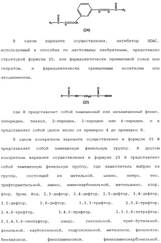 Способы лечения рака с использованием ингибиторов hdac (патент 2356547)