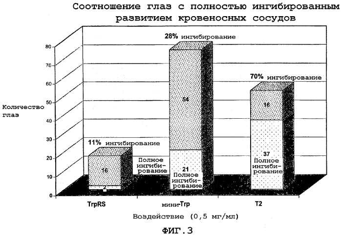 Полипептиды, происходящие из триптофанил-трнк-синтетазы, и их применение для регуляции развития кровеносных сосудов (патент 2297425)