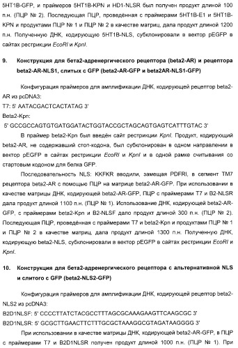 Способ идентификации соединений, взаимодействующих с трансмембранными белками (патент 2326166)