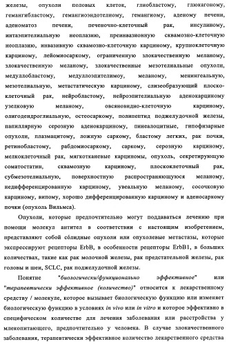 Биспецифические антитела к erb-b и их применение для лечения опухолей (патент 2349340)