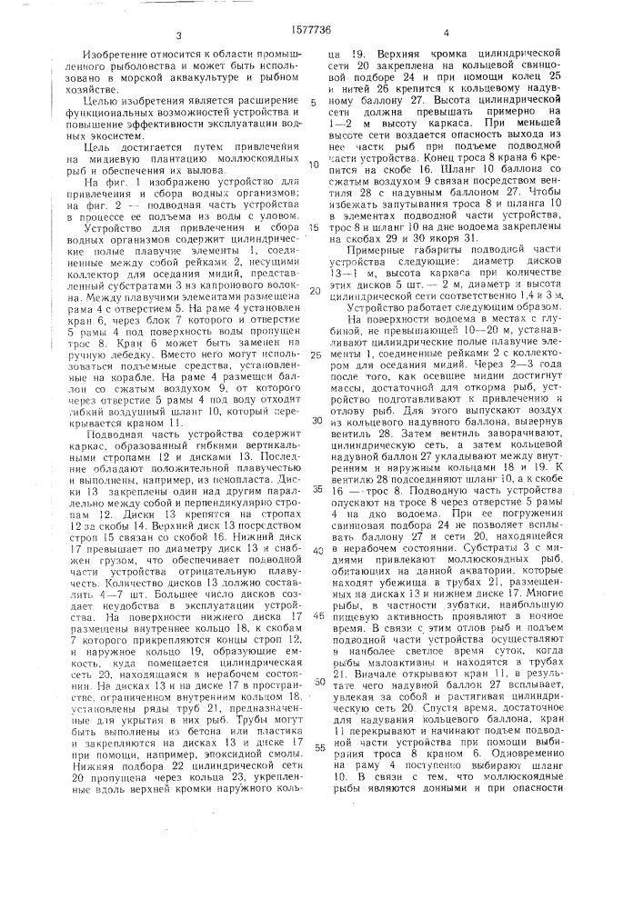 Устройство для привлечения и сбора водных организмов (патент 1577736)