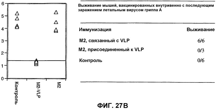 Композиция и способ для иммунизации, способ продуцирования неприродного упорядоченного и повторяющегося массива антигенов (патент 2438701)