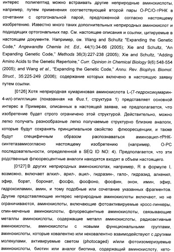 Генетически кодируемые флюоресцентные кумариновые аминокислоты (патент 2473690)