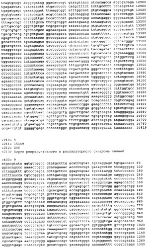 Вирусы prrs, их инфекционные клоны, мутантные формы и способы применения (патент 2427646)