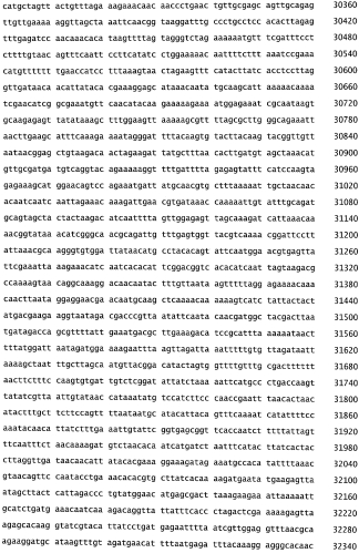 Бактериофаг, обладающий активностью против pseudomonas aeruginosa, белки бактериофага и способы их применения (патент 2580248)