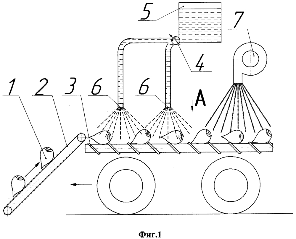 Способ обработки корнеплодов сахарной свеклы раствором фунгицидов при их уборке (патент 2644591)