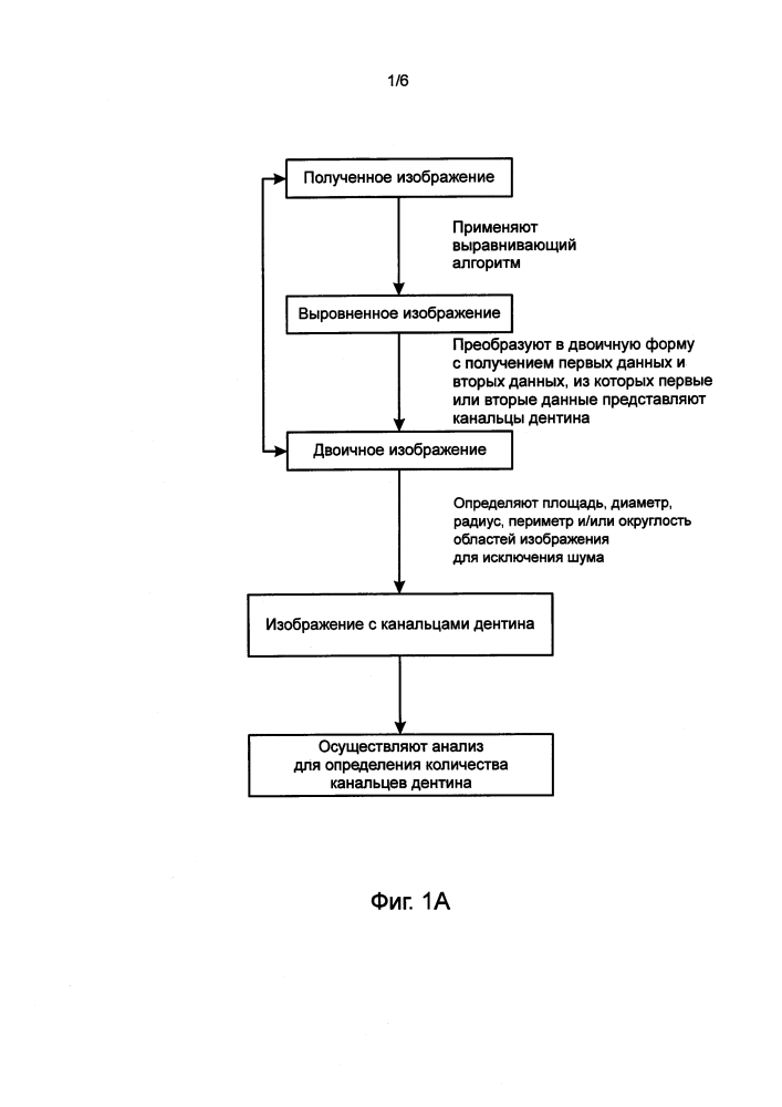 Обработка изображения канальцев дентина (патент 2635290)