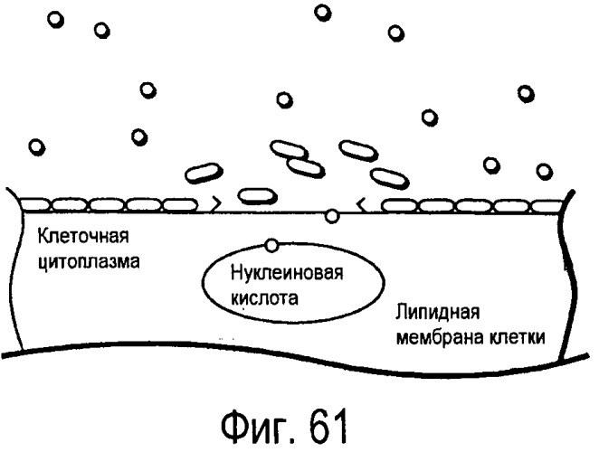 Холодильник (патент 2473025)